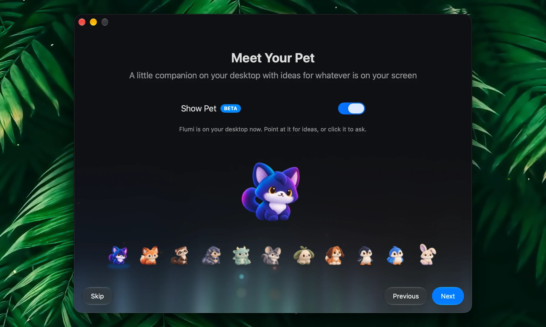 Fluent Onboarding – Meet Your Pet