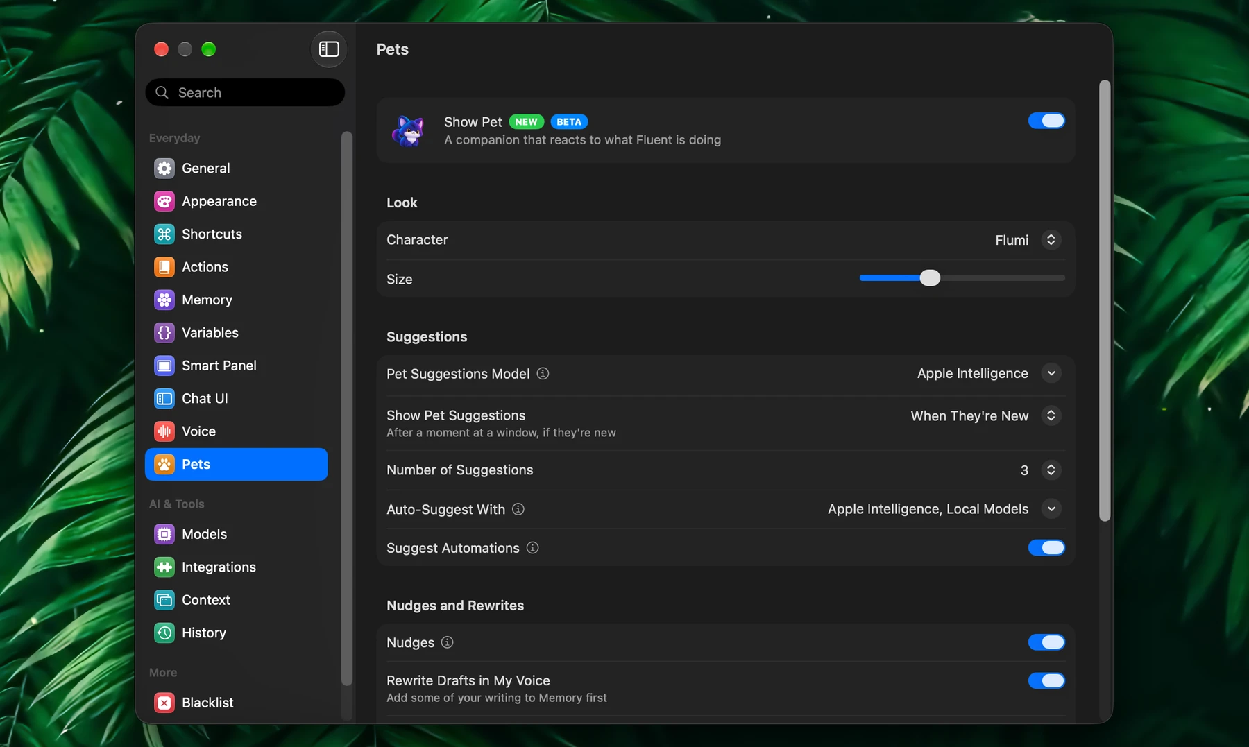 Fluent – Pet Settings