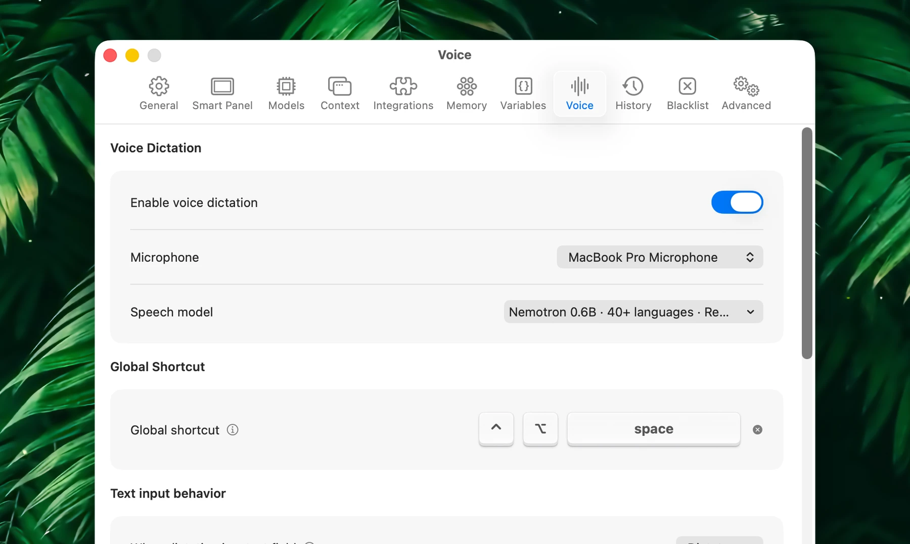 Fluent – Voice Settings